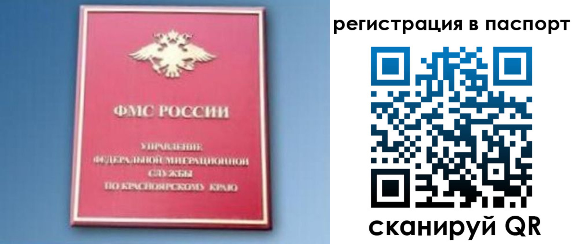 регистрация в Петушках